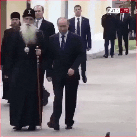 Смешная гифка голубь отдает честь Путину Смешная гифка голубь отдает честь Путину