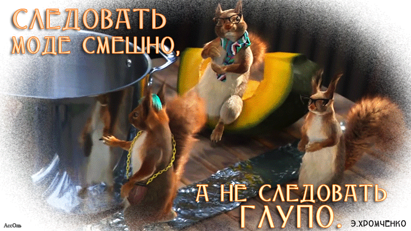 Гифка следовать моде смешно, а не следовать глупо Гифка следовать моде смешно, а не следовать глупо