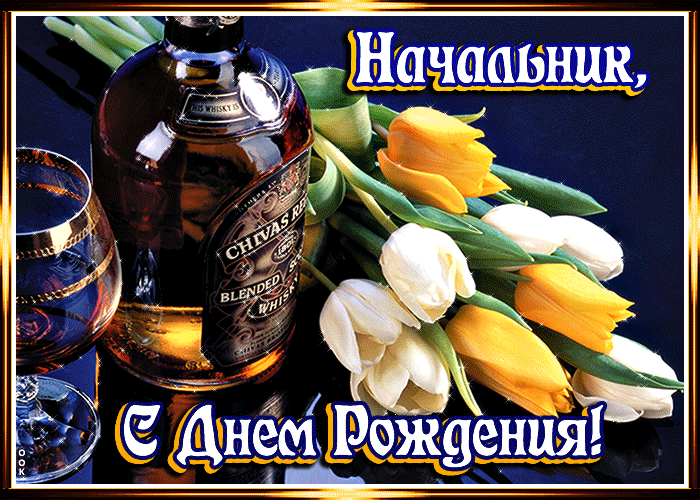Поздравления с днём рождения начальнику мужчине Поздравления с днём рождения начальнику мужчине