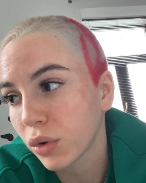 Хостинг картинок yapx.ru