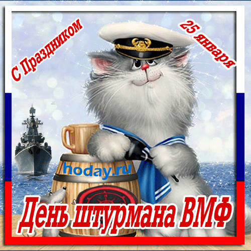 Смешная Гифка день штурмана ВМФ кот с пивком.