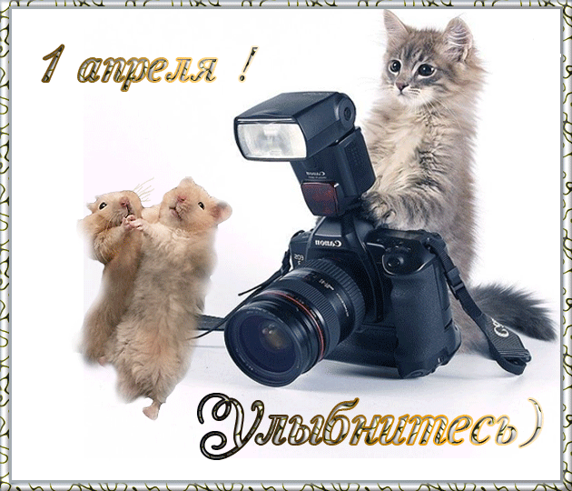 Забавная картинка с 1 апреля с котёнком и мышами. Забавная картинка с 1 апреля с котёнком и мышами.