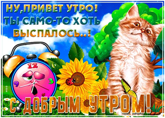 Доброе утро и хорошего дня красивые открытки Доброе утро и хорошего дня красивые открытки