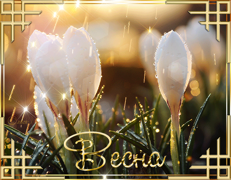 Гифка весна прикольная