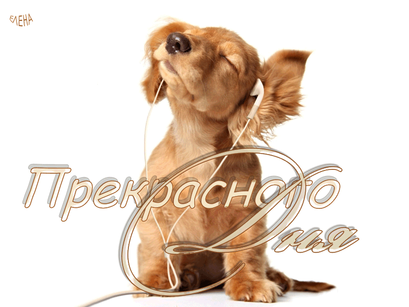 Гифка Прекрасного дня!