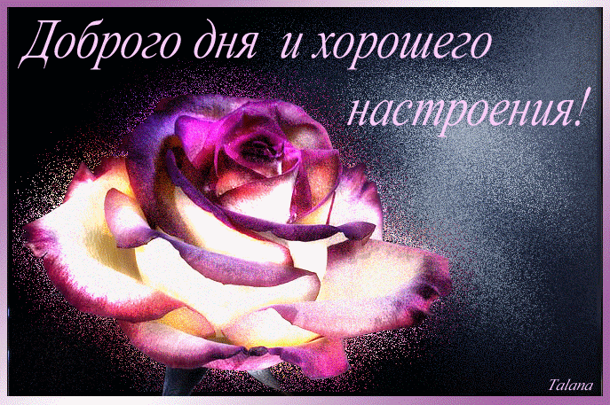 Гифка каждый день прекрасен!