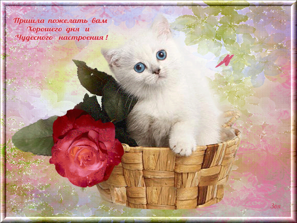 Гифка хорошего дня!