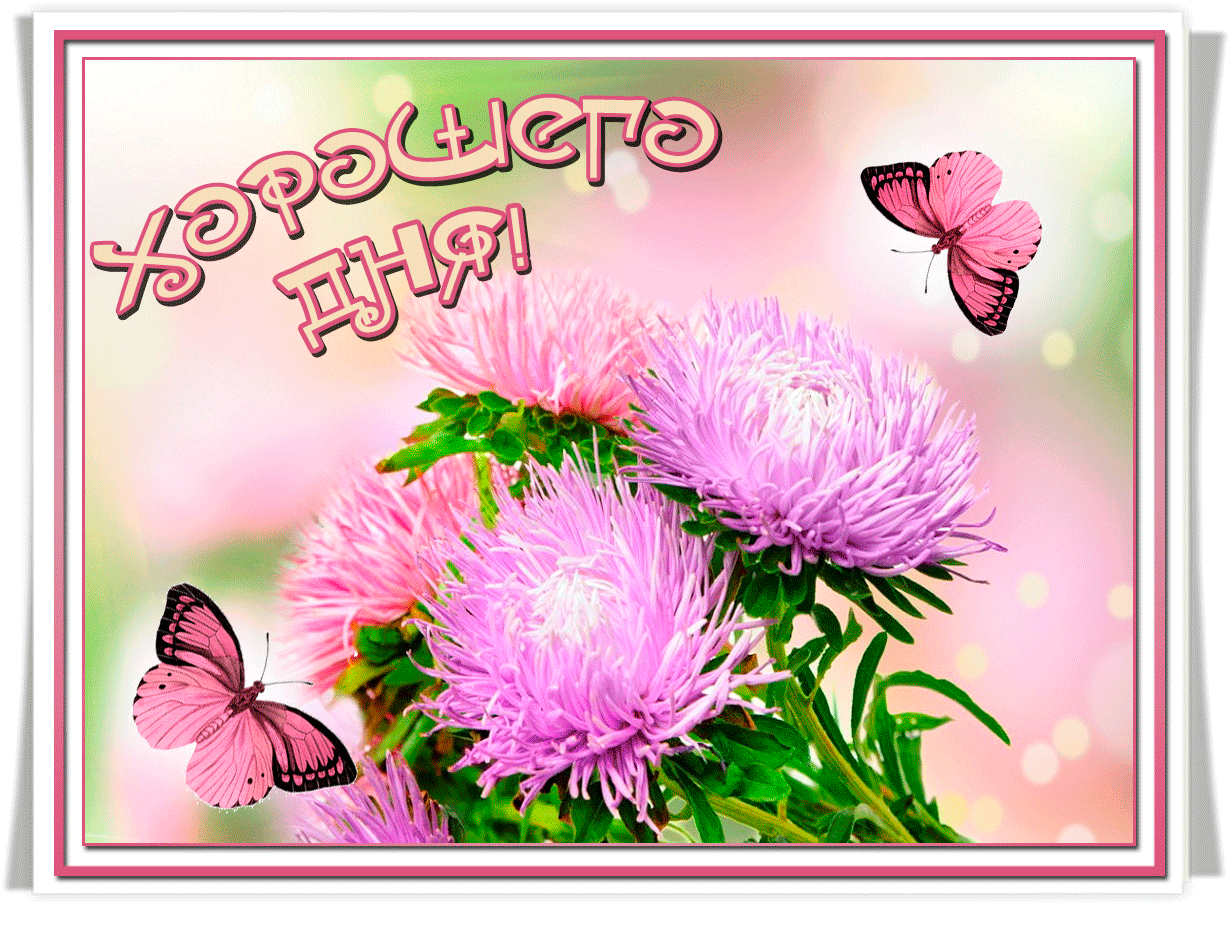 Картинки с добрым утром и хорошего дня красивые Картинки с добрым утром и хорошего дня красивые