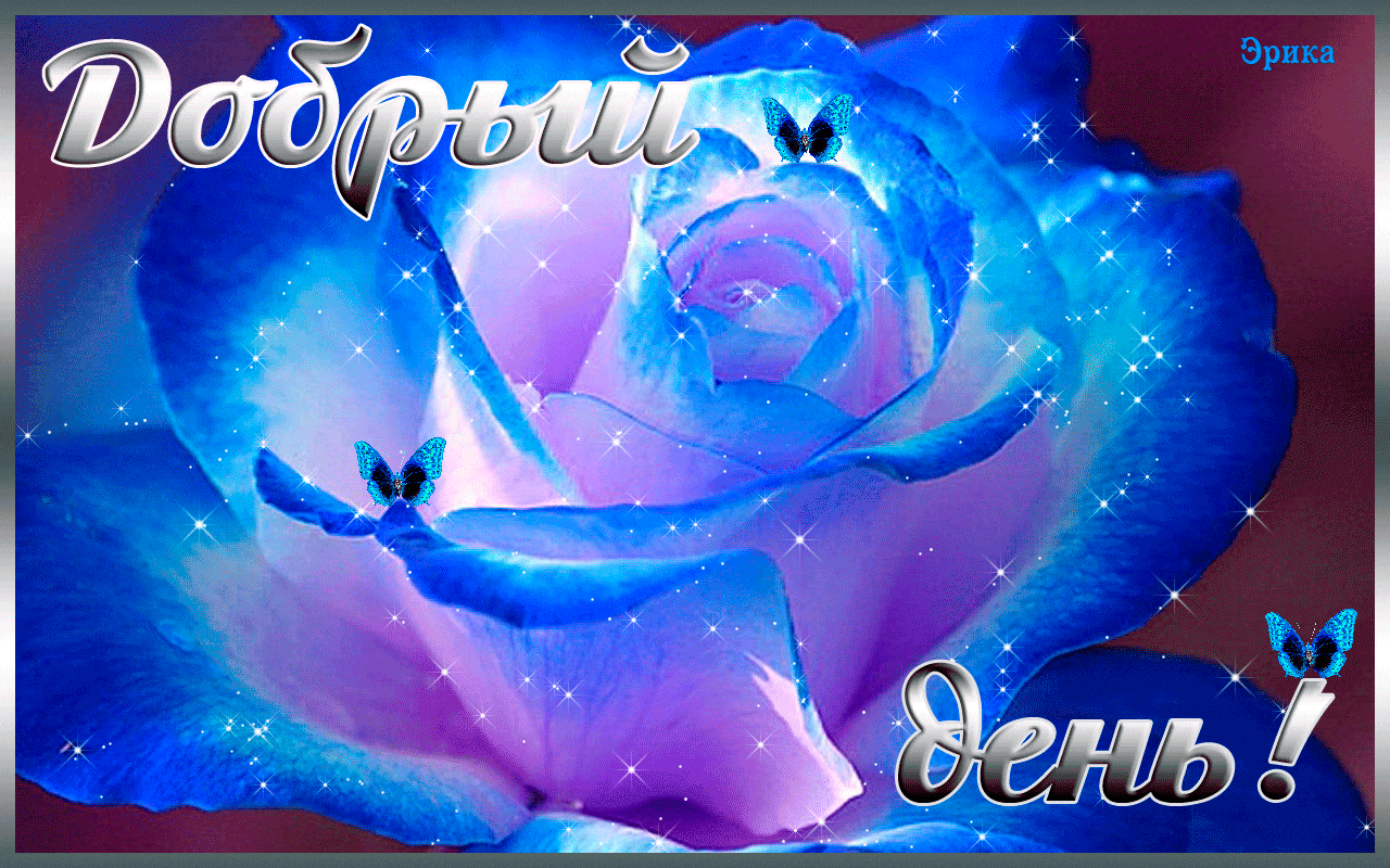 Гифка желаю доброго дня!