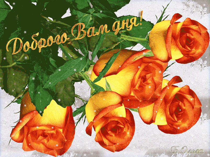 Gif картинка с пожеланием доброго дня!