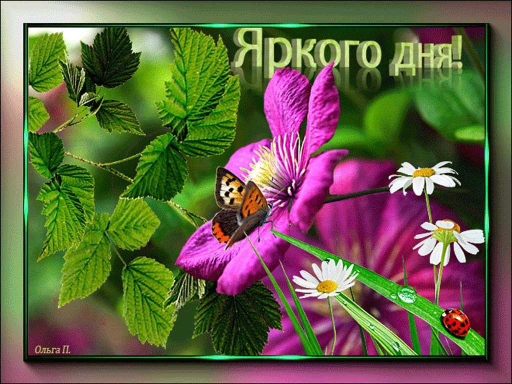 Гиф доброго вам и яркого дня!