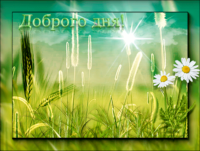 Красивая летняя анимация добрый день!