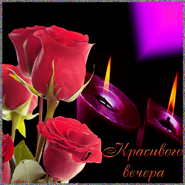 Гифка Доброго вечера очень красивая