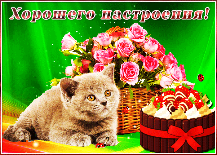 Пожелания хорошего дня и прекрасного настроения