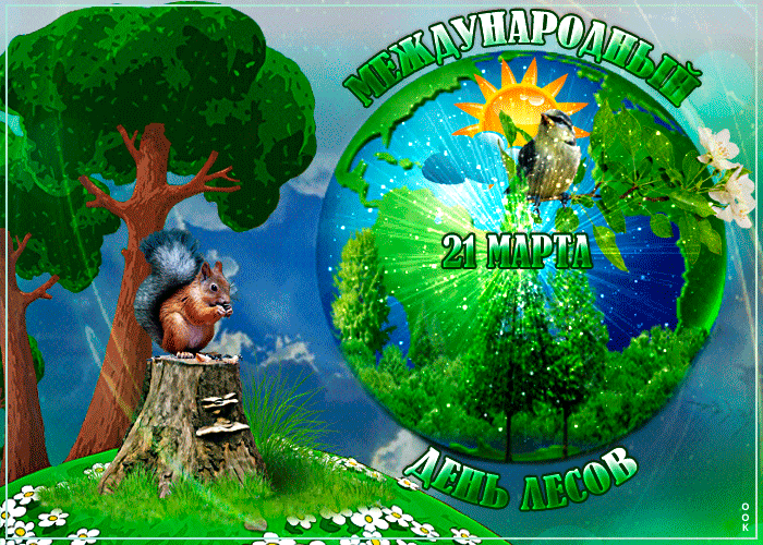 Гифки с международным днём лесов 21 марта Гифки с международным днём лесов 21 марта
