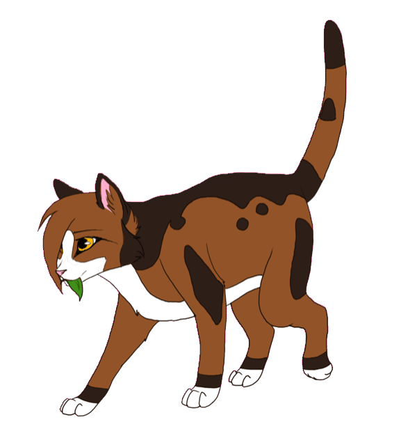 Гифки коты воители