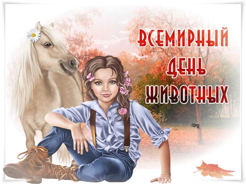 Gif С международным днём домашних животных Gif С международным днём домашних животных