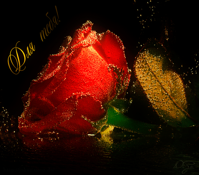 Гифки живые мерцающие супер картинки цветы о любви