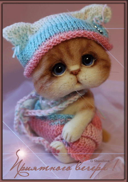 Гифка котик желает приятного вечера Гифка котик желает приятного вечера