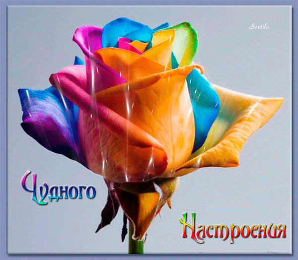 Гифка чудесного настроения Гифка чудесного настроения