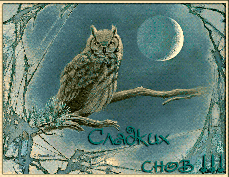 Спокойной ночи пожелания красивые необычные нежные