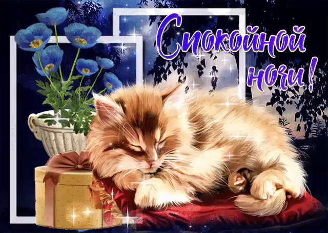 Спокойной ночи пожелания красивые необычные нежные