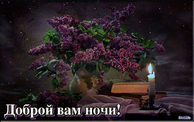 Gif картинка доброй вам ночи!