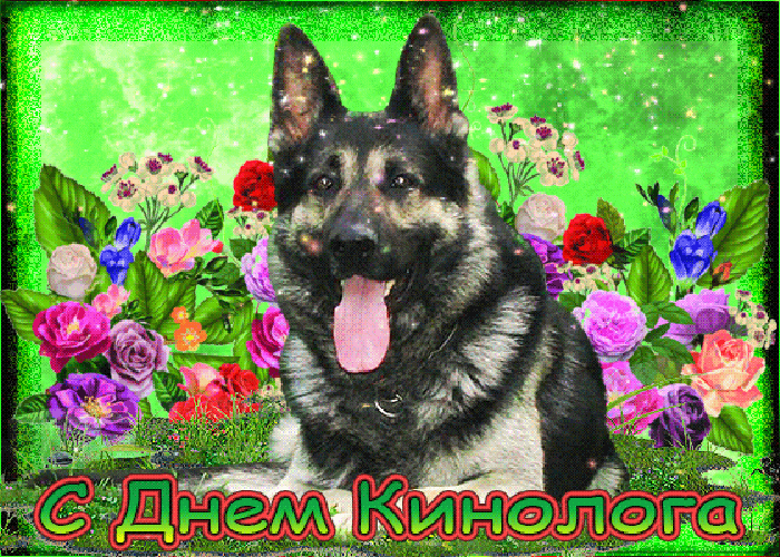 Мерцающая летняя gif картинка с днём кинолога, с овчаркой в цветах. Мерцающая летняя gif картинка с днём кинолога, с овчаркой в цветах.