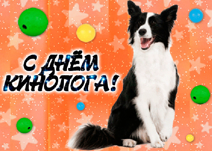 Праздничная гиф картинка с днём кинолога. Праздничная гиф картинка с днём кинолога.