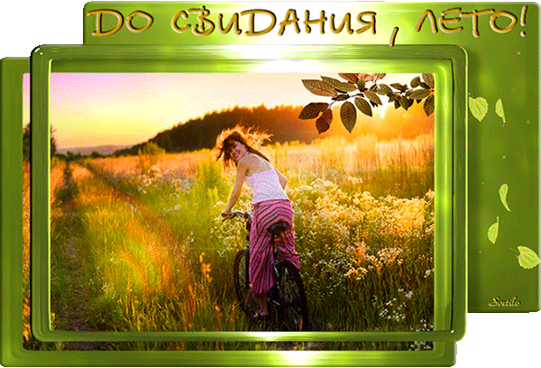 Гифка до свидания Лето Гифка до свидания Лето