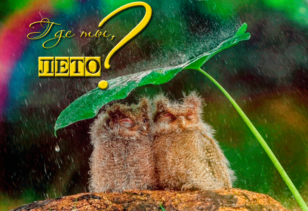 Гифка где ты Лето ? Гифка где ты Лето ?