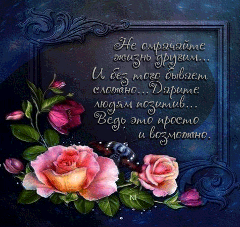 Гифка не омрачайте жизнь другим Гифка не омрачайте жизнь другим