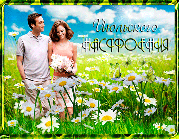 Прикольная летняя гиф открытка Июльского настроения с парой в ромашковом поле.