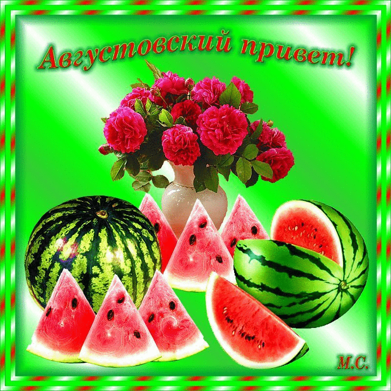 Анимация Августовский привет.