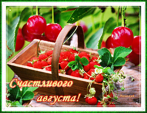 Гифка Счастливого Августа.