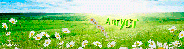 Летняя Gif картинка Август с ромашковым полем.