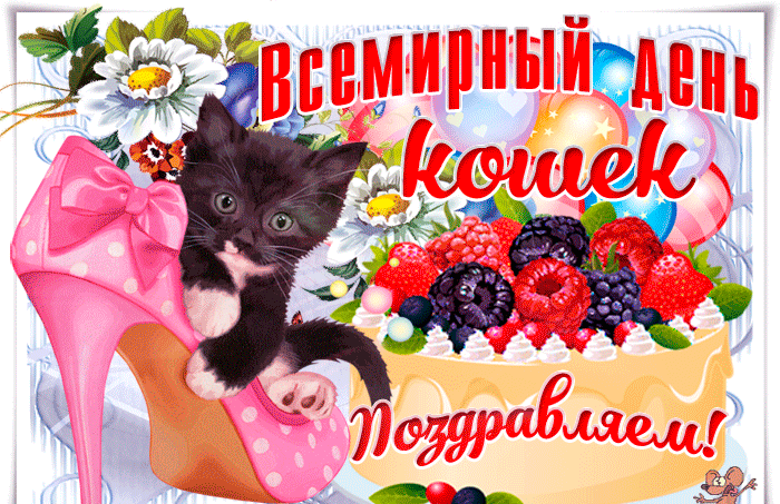 Прикольная гифка поздравляем с Всемирным днём кошек.