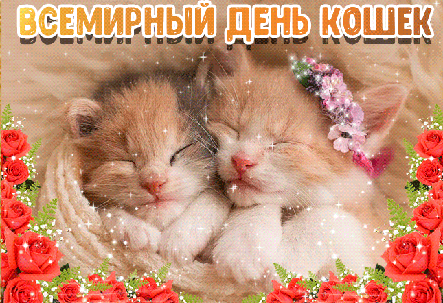 Мерцающая gif картинка с Всемирным днём кошек с рамкой из роз.