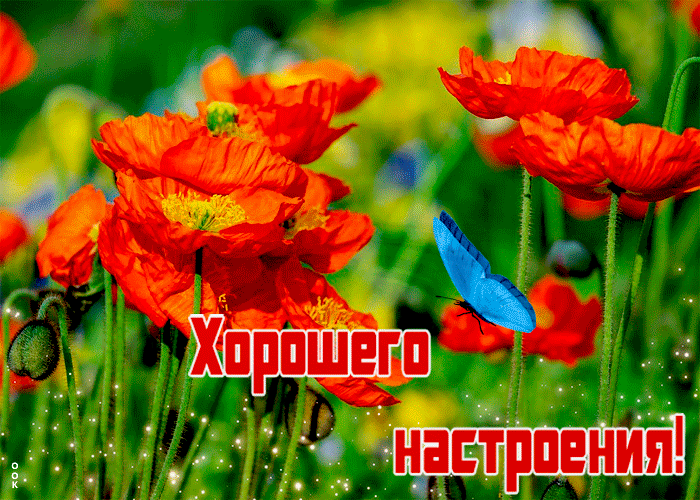 Красивая гиф картинка хорошего настроения Красивая гиф картинка хорошего настроения