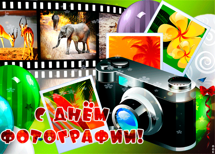 Красивые гифки с всемирным днём фотографии 19 августа. Красивые гифки с всемирным днём фотографии 19 августа.
