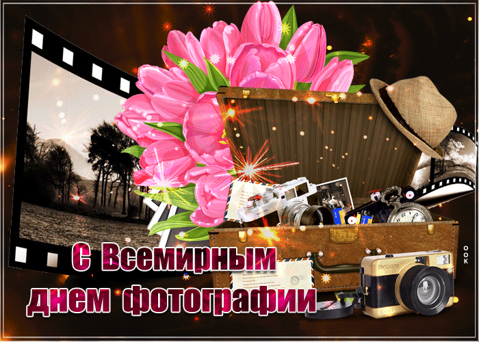 Мерцающая нежная gif картинка с всемирным днём фотографии с букетом розовых тюльпанов. Мерцающая нежная gif картинка с всемирным днём фотографии с букетом розовых тюльпанов.