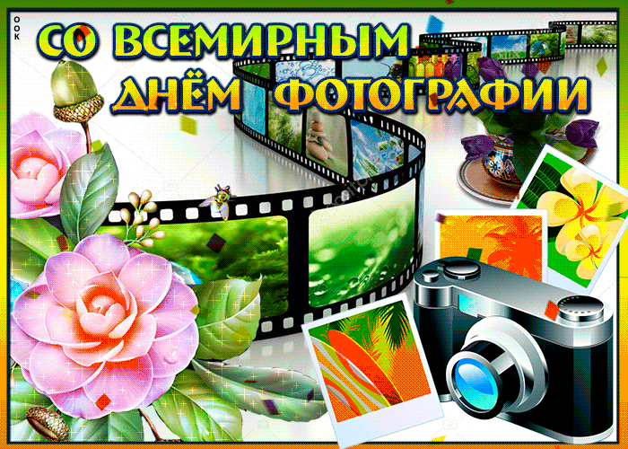 Гифка с всемирным днём фотографии 2024. Гифка с всемирным днём фотографии 2024.