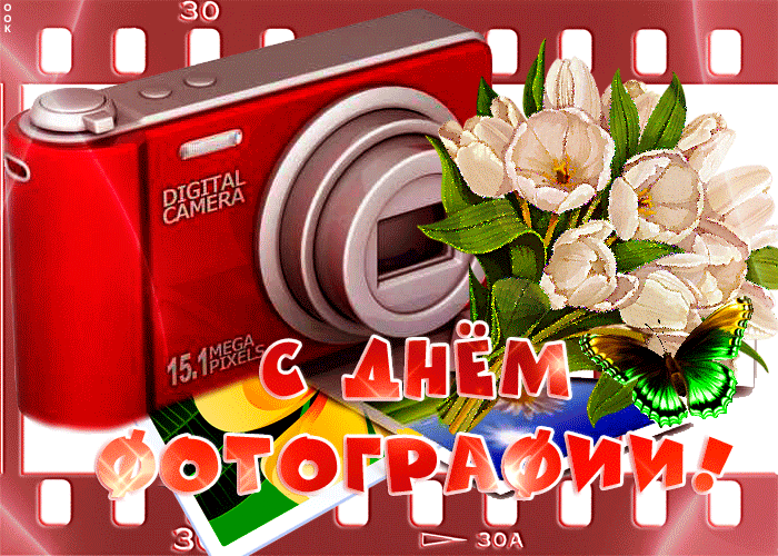 Прикольная гифка с всемирным днём фотографии. Прикольная гифка с всемирным днём фотографии.