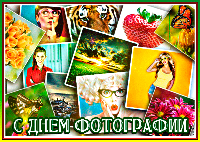 Мерцающая гиф картинка с всемирным днём фотографии. Мерцающая гиф картинка с всемирным днём фотографии.