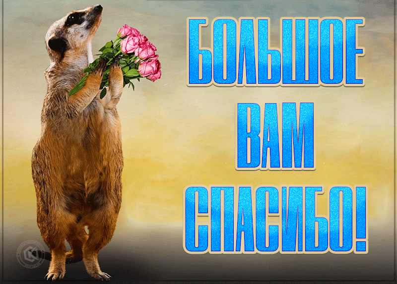 Красивая gif картинка большое вам спасибо Красивая gif картинка большое вам спасибо