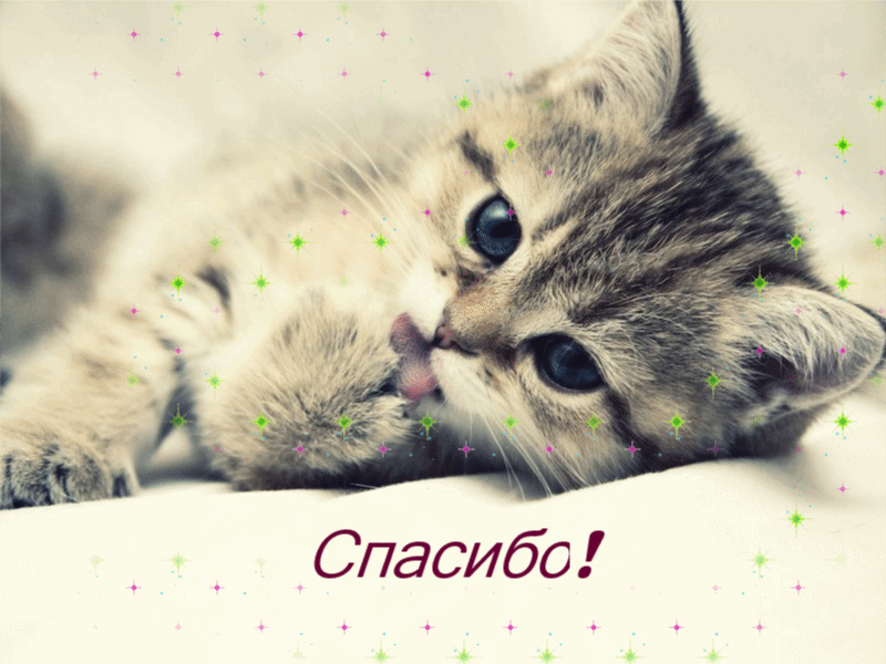 Gif картинка спасибо Gif картинка спасибо