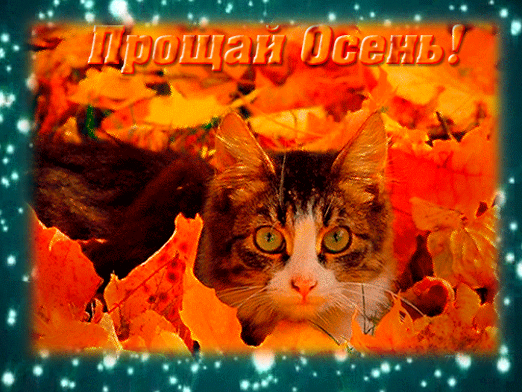 Гифка с последними днями осени! Гифка с последними днями осени!