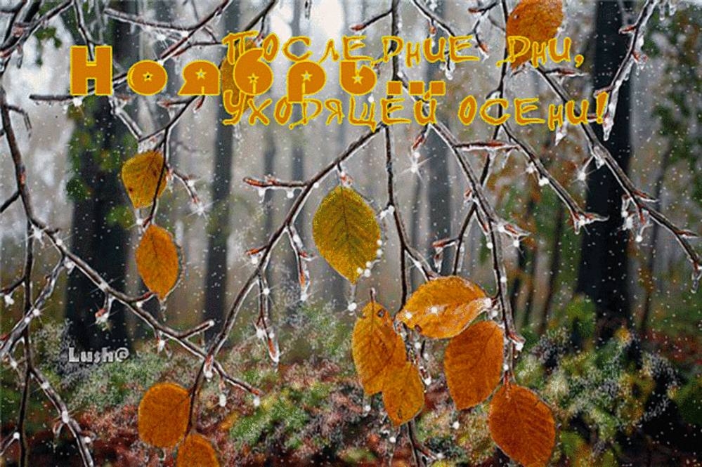 Гифка осень прощай Гифка осень прощай