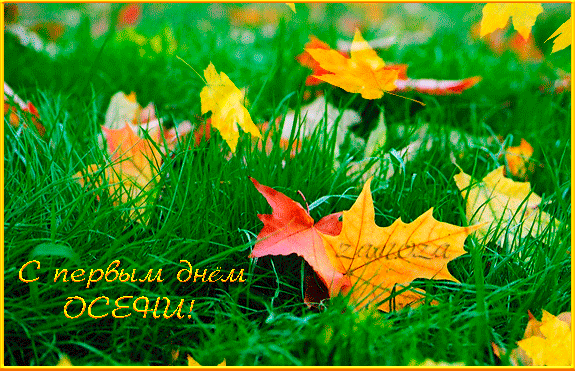 Гифки с Первым днём Осени 1 Сентября 2023 (50 gif картинок) Гифки с Первым днём Осени 1 Сентября 2023 (50 gif картинок)