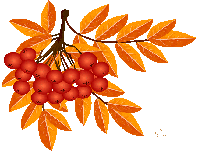 Гиф картинка ветка рябины на прозрачном фоне